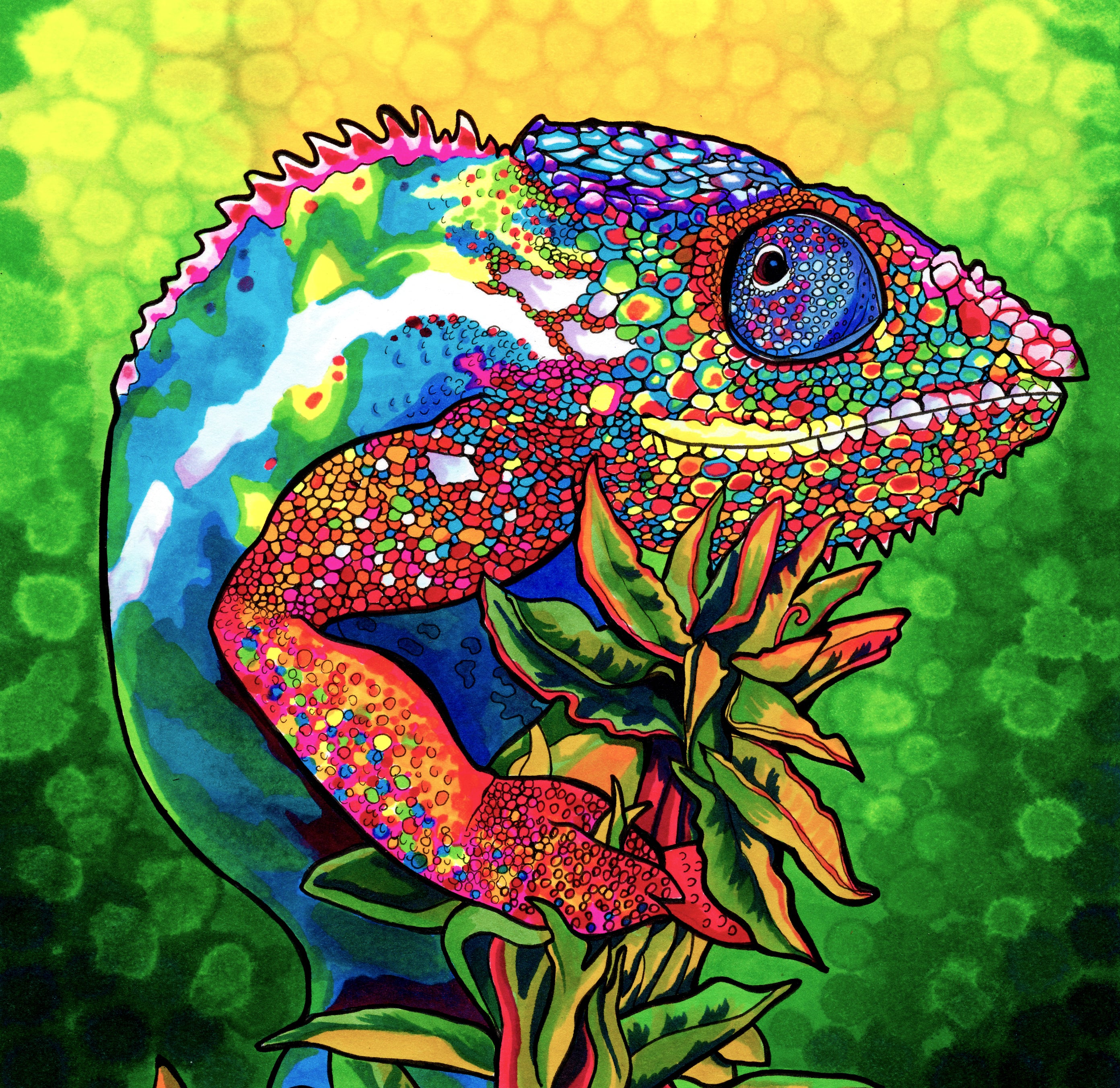 20 Incredible Artists Get Creative with Chameleon Art Products